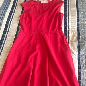 NY&Co dress